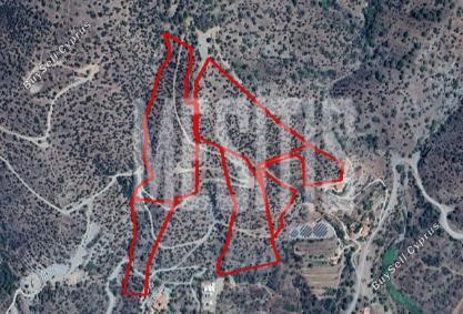 112526 SQM Plot for sale in Foinikaria, Limassol 12886876