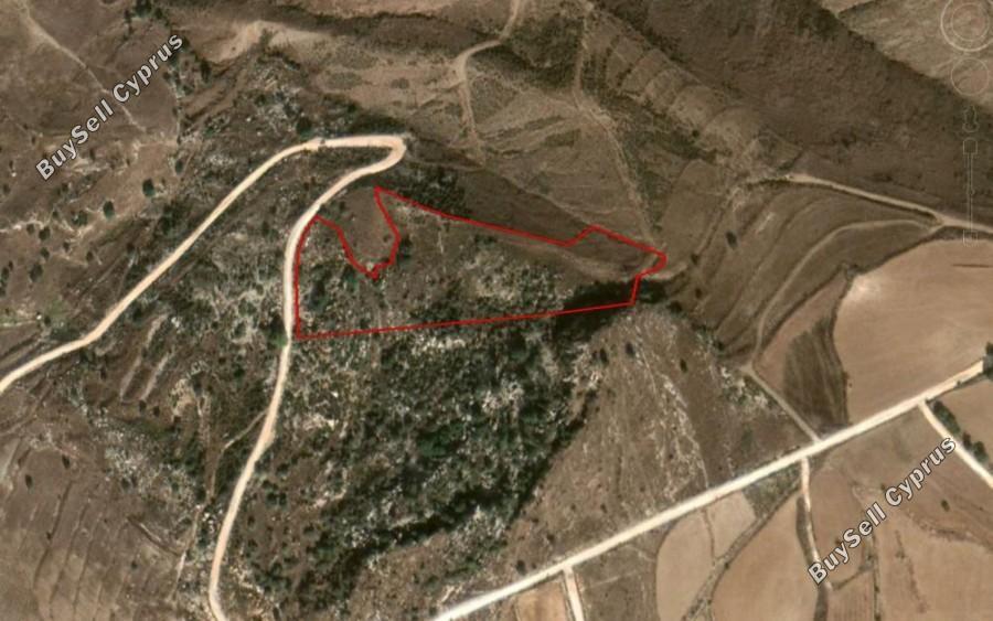 13272 SQM Land for sale in Pano Arodes, Paphos 15873928