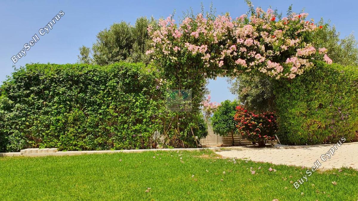 5 bedroom detached house for rent pernera famagusta 8281674 image 14010716