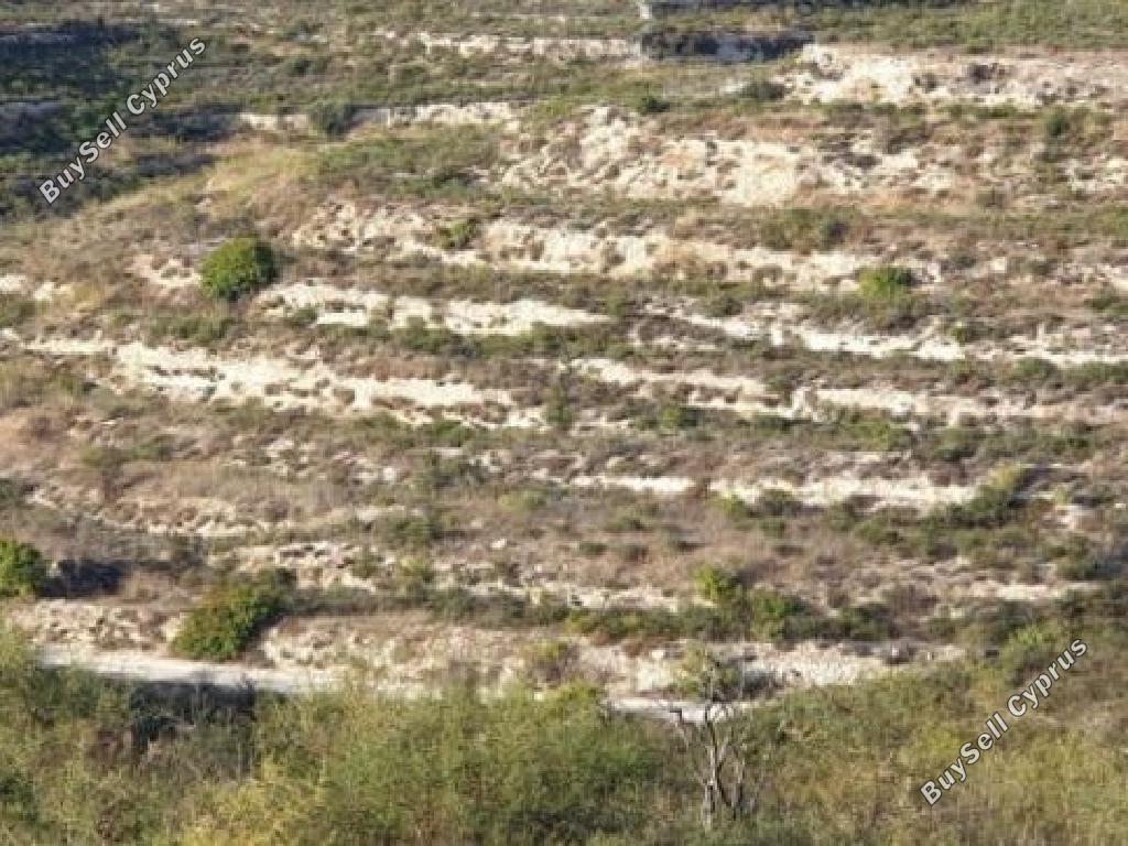 land for sale pachna limassol 8785674 image 16656227