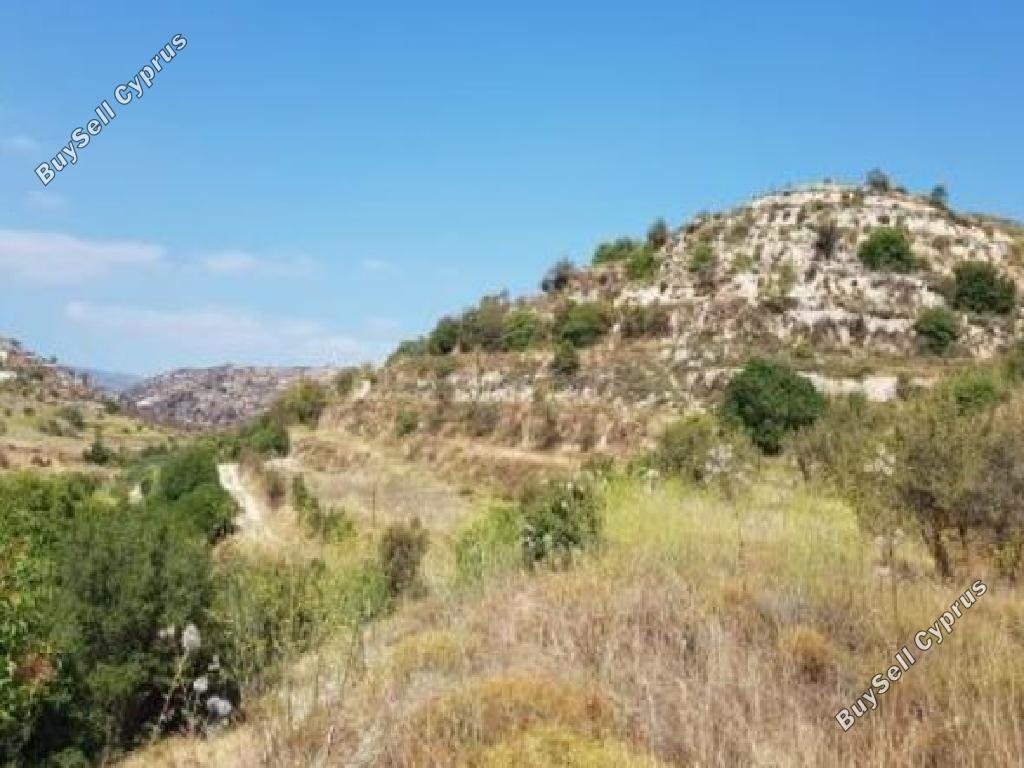 land for sale pachna limassol 8785674 image 16656229