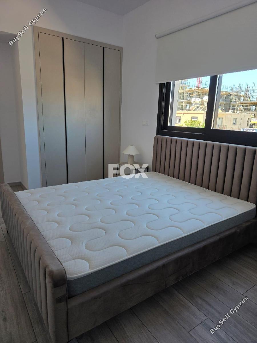 2 bedroom apartment for rent agios nicolaos limassol 8741774 image 16396798