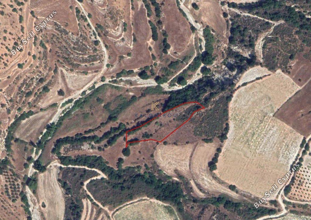 land for sale dora limassol 1194774 image 5570477