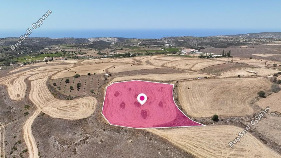 land for sale kathikas paphos 1354774 image 5607014