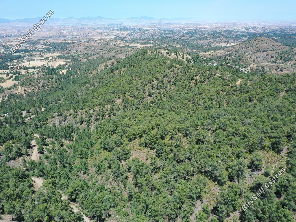 land for sale klirou nicosia 945774 image 15603362
