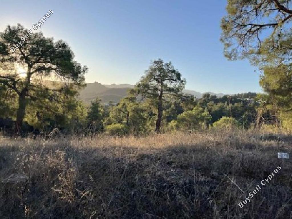 land for sale klirou nicosia 945774 image 17103021