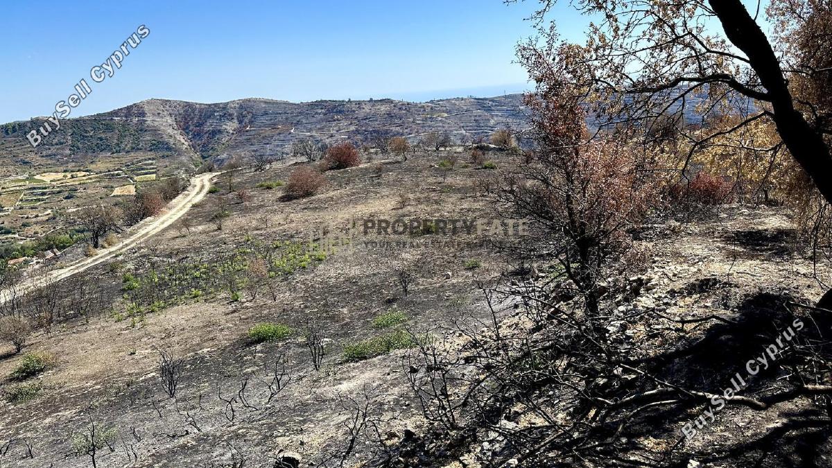 land for sale koilani limassol 8117774 image 14833009