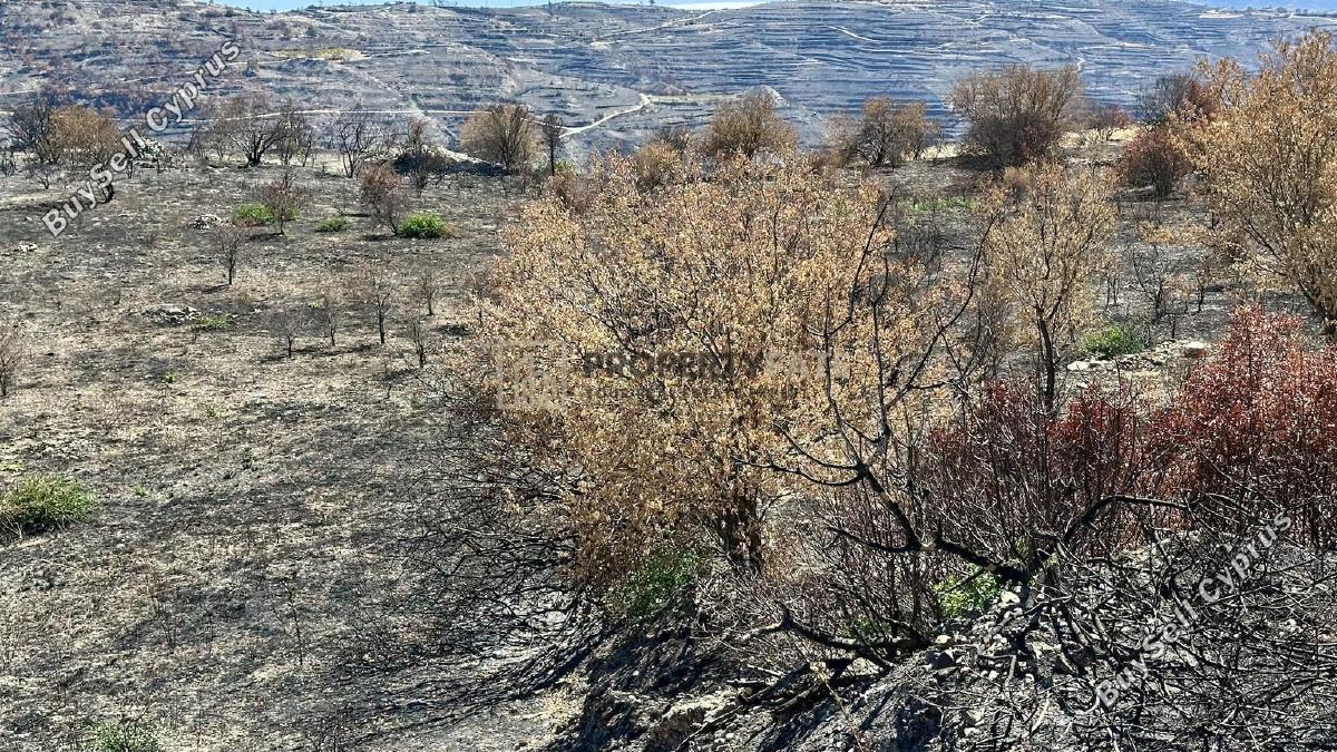land for sale koilani limassol 8117774 image 14833016