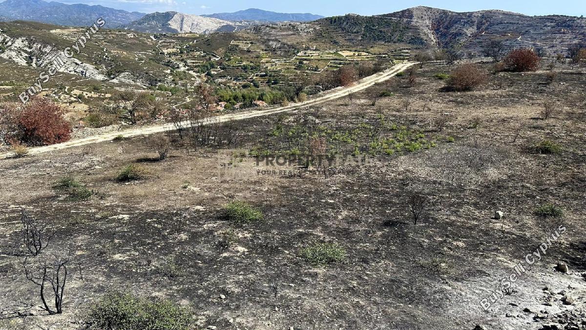 land for sale koilani limassol 8117774 image 14833019