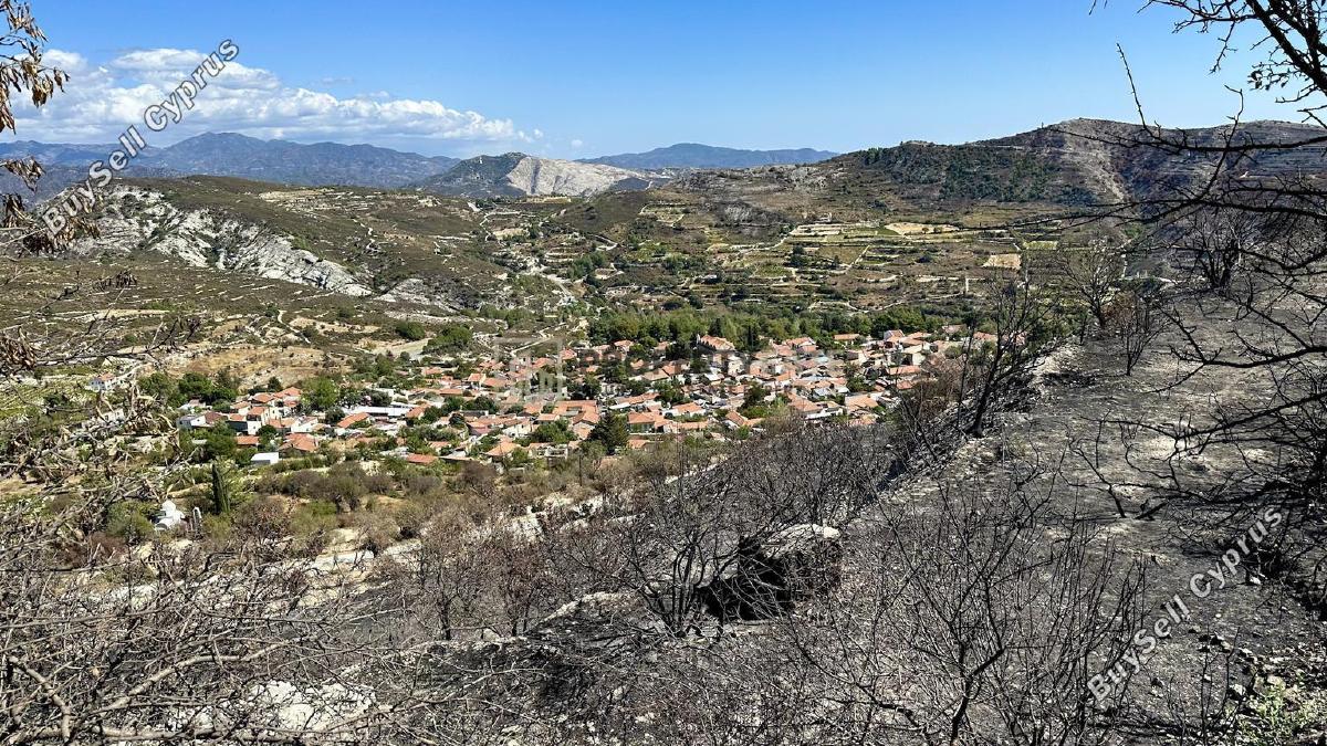 land for sale koilani limassol 8117774 image 14833021