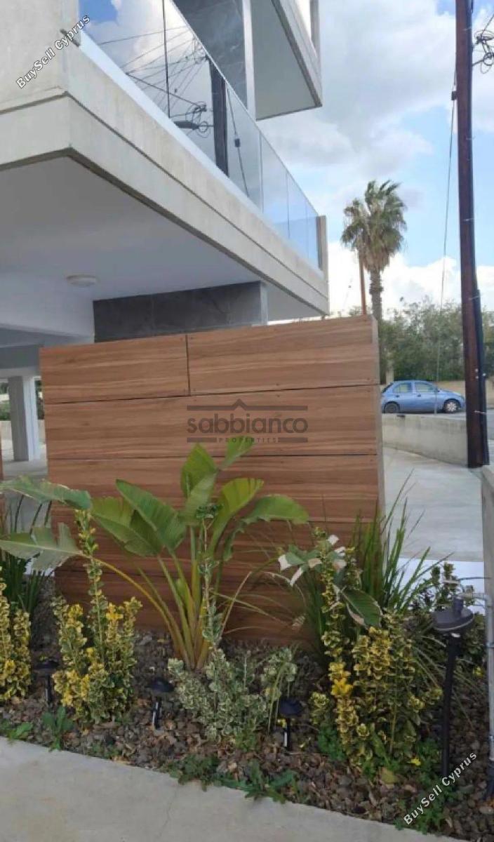 2 bedroom apartment for rent chrysopolitissa larnaca 8751974 image 16497749