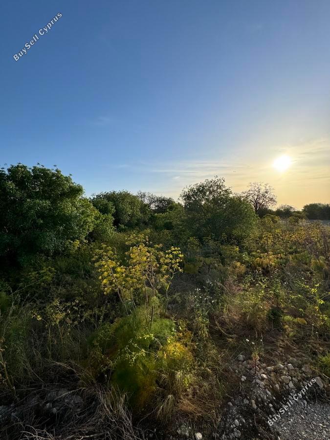 land for sale mesogi paphos 1335974 image 2475371