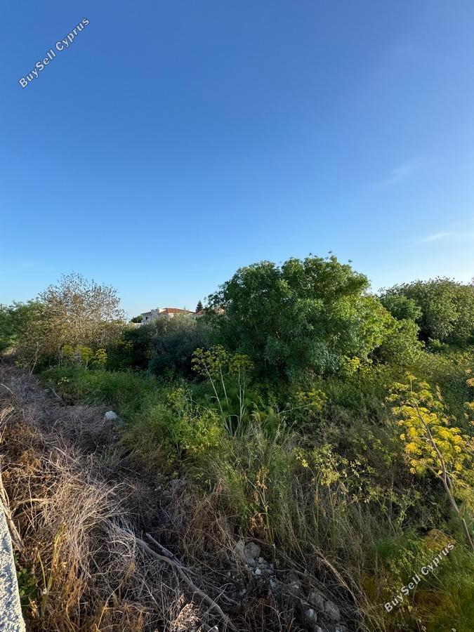 land for sale mesogi paphos 1335974 image 2475372