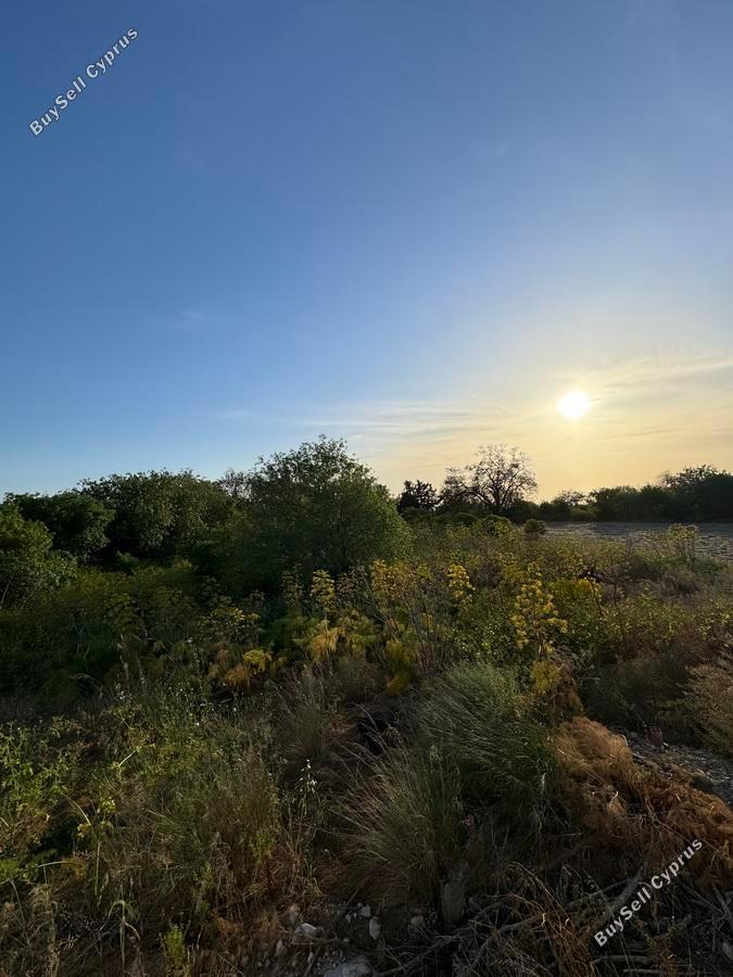 land for sale mesogi paphos 1335974 image 2475373