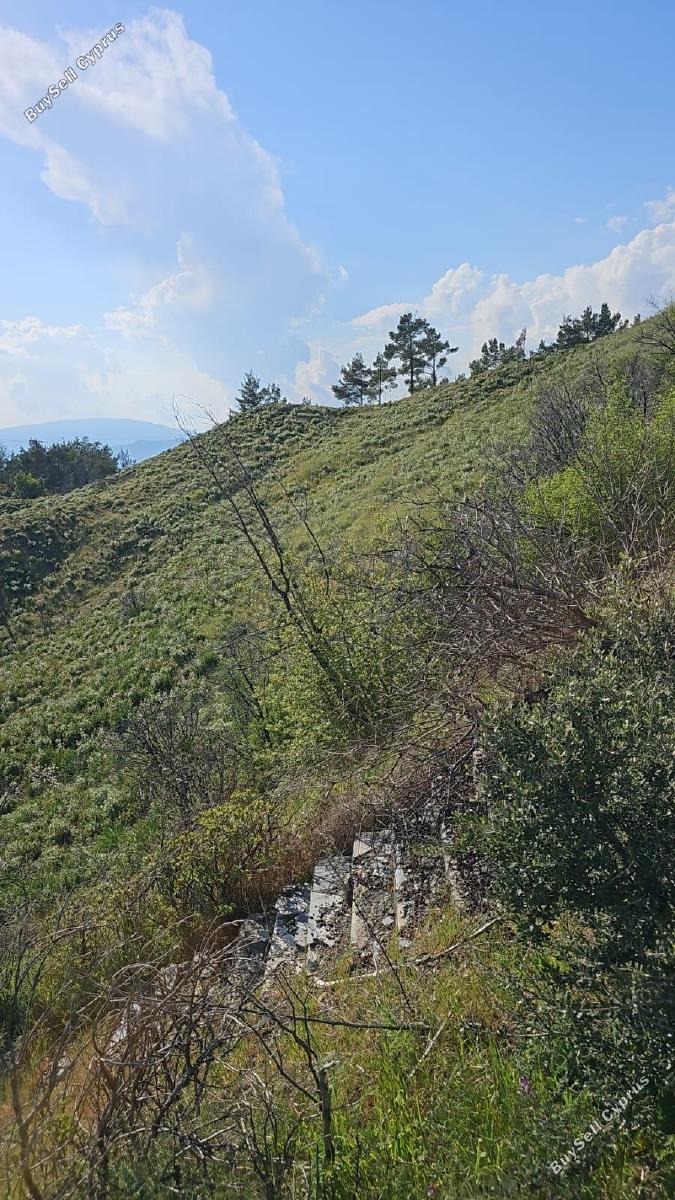 land for sale kato platres limassol 1546084 image 5869851