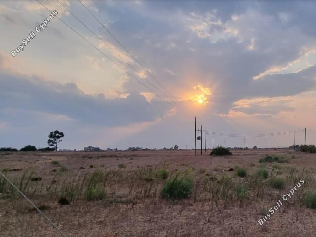 land for sale xylofagou larnaca 1425084 image 2734973