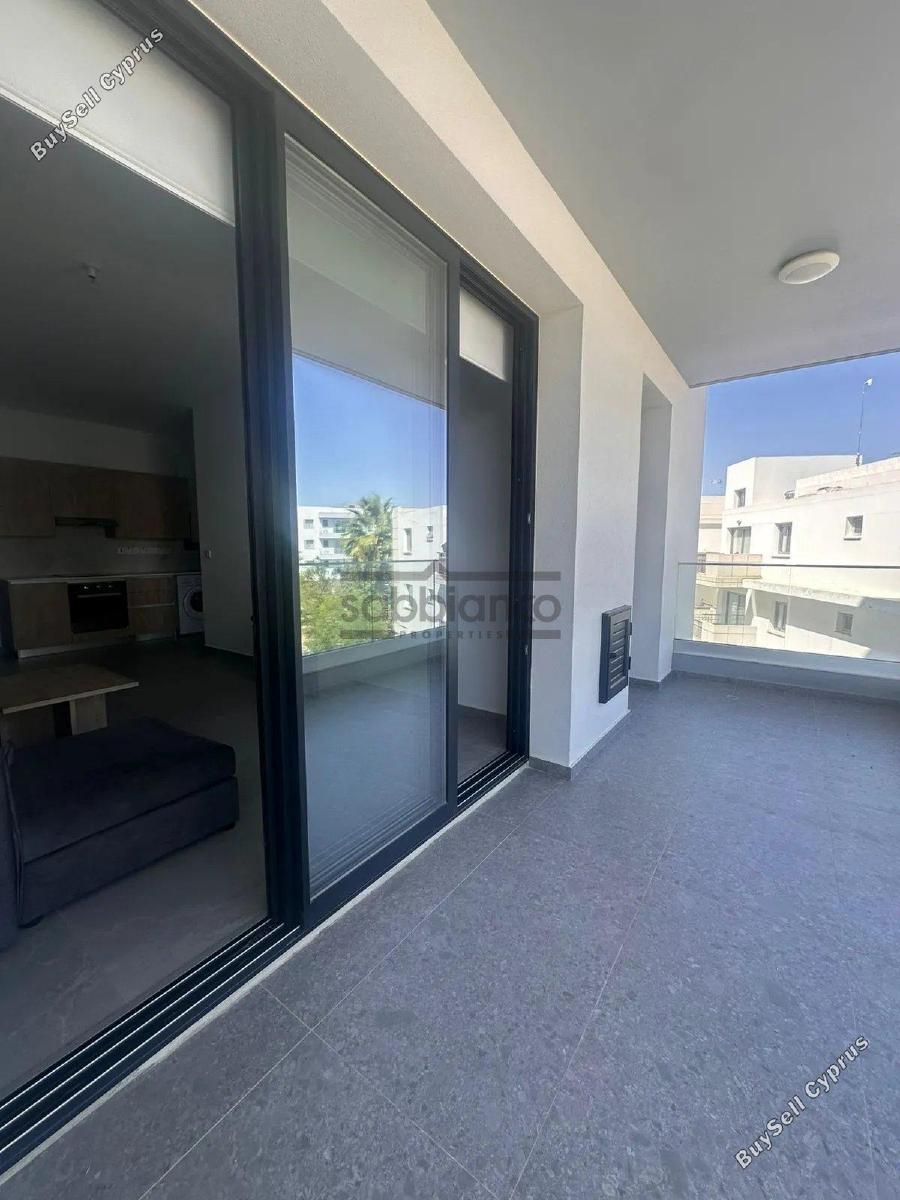 1 bedroom apartment for rent aglantzia nicosia 8741184 image 16389822