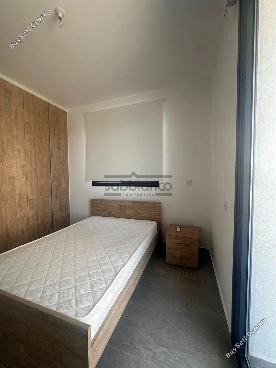1 bedroom apartment for rent aglantzia nicosia 8741184 image 16389829