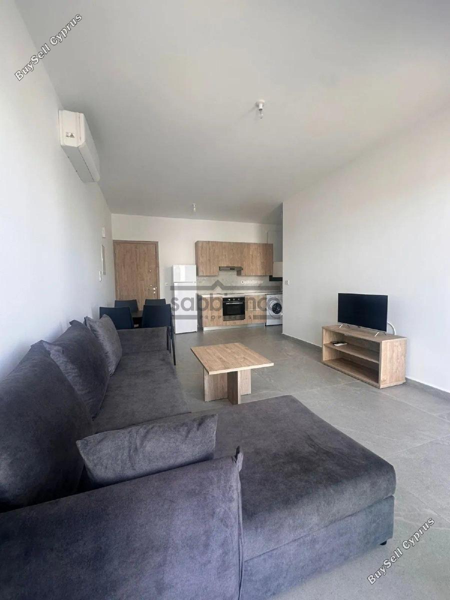 1 bedroom apartment for rent aglantzia nicosia 8741184 image 16389831
