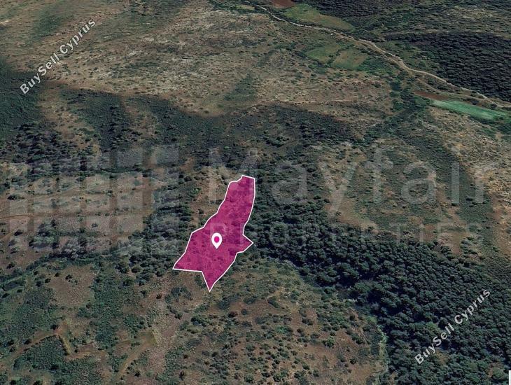 land for sale pigenia nicosia 7872284 image 14116003