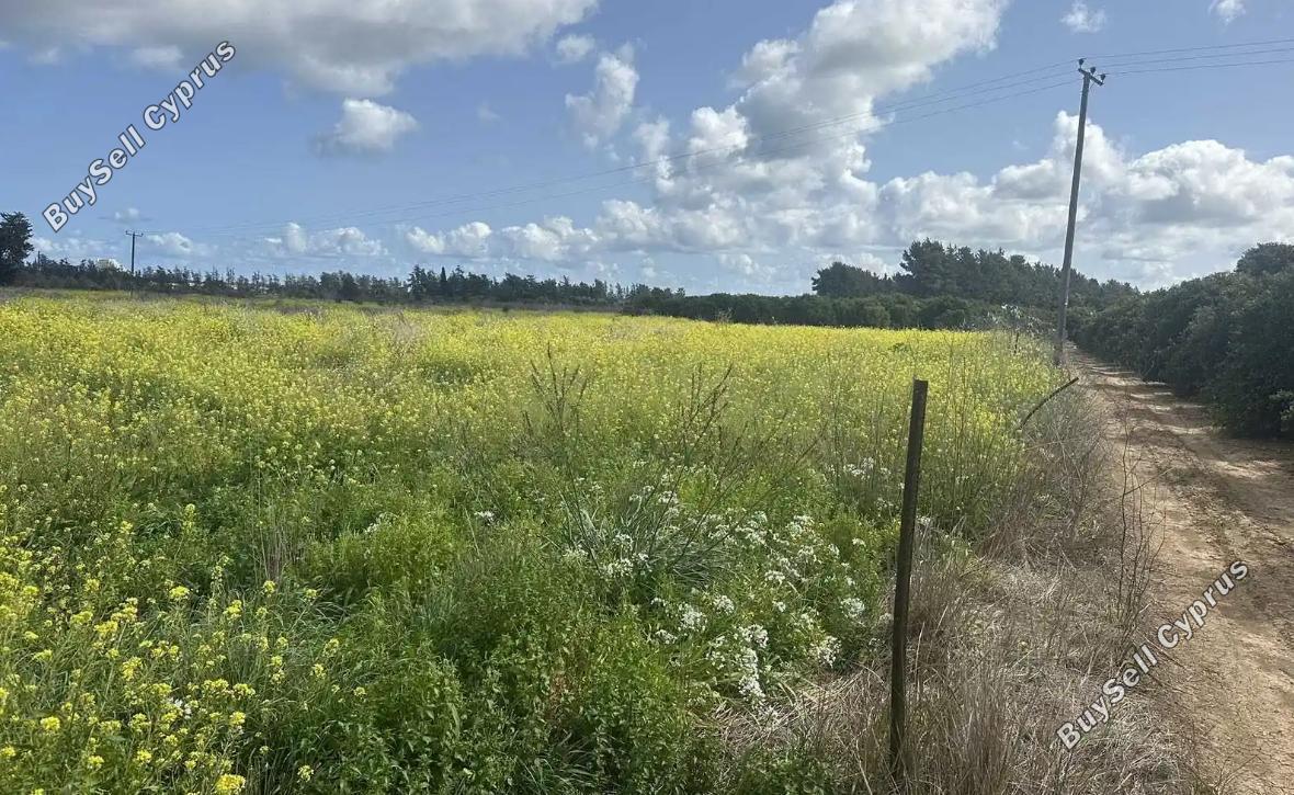 land for sale trachoni lemesou limassol 1883284 image 7045103