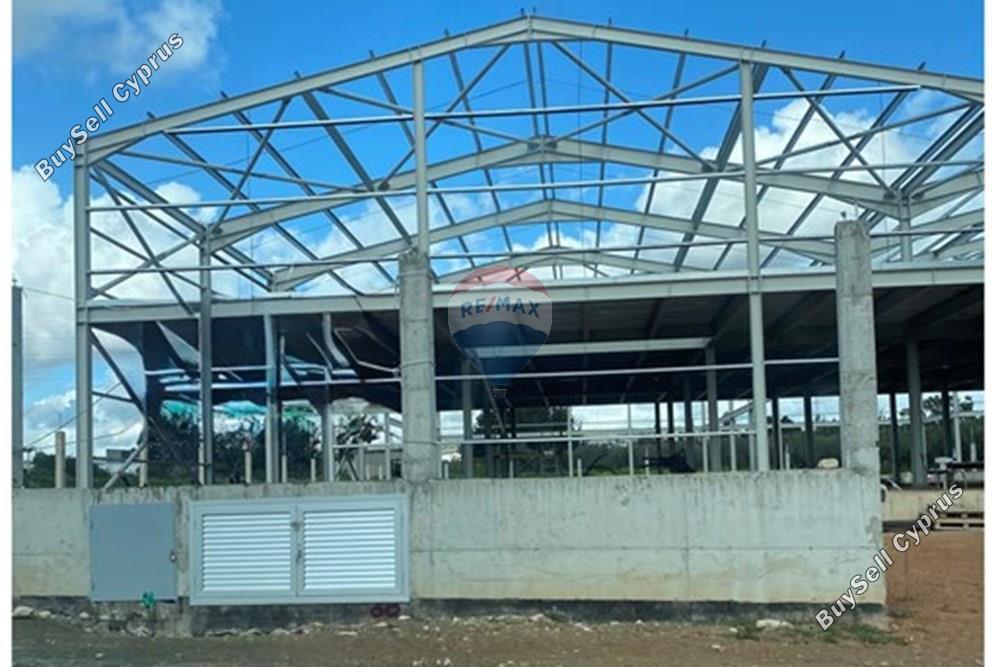 studio warehouse for rent anthoupoli limassol limassol 8307284 image 14123992