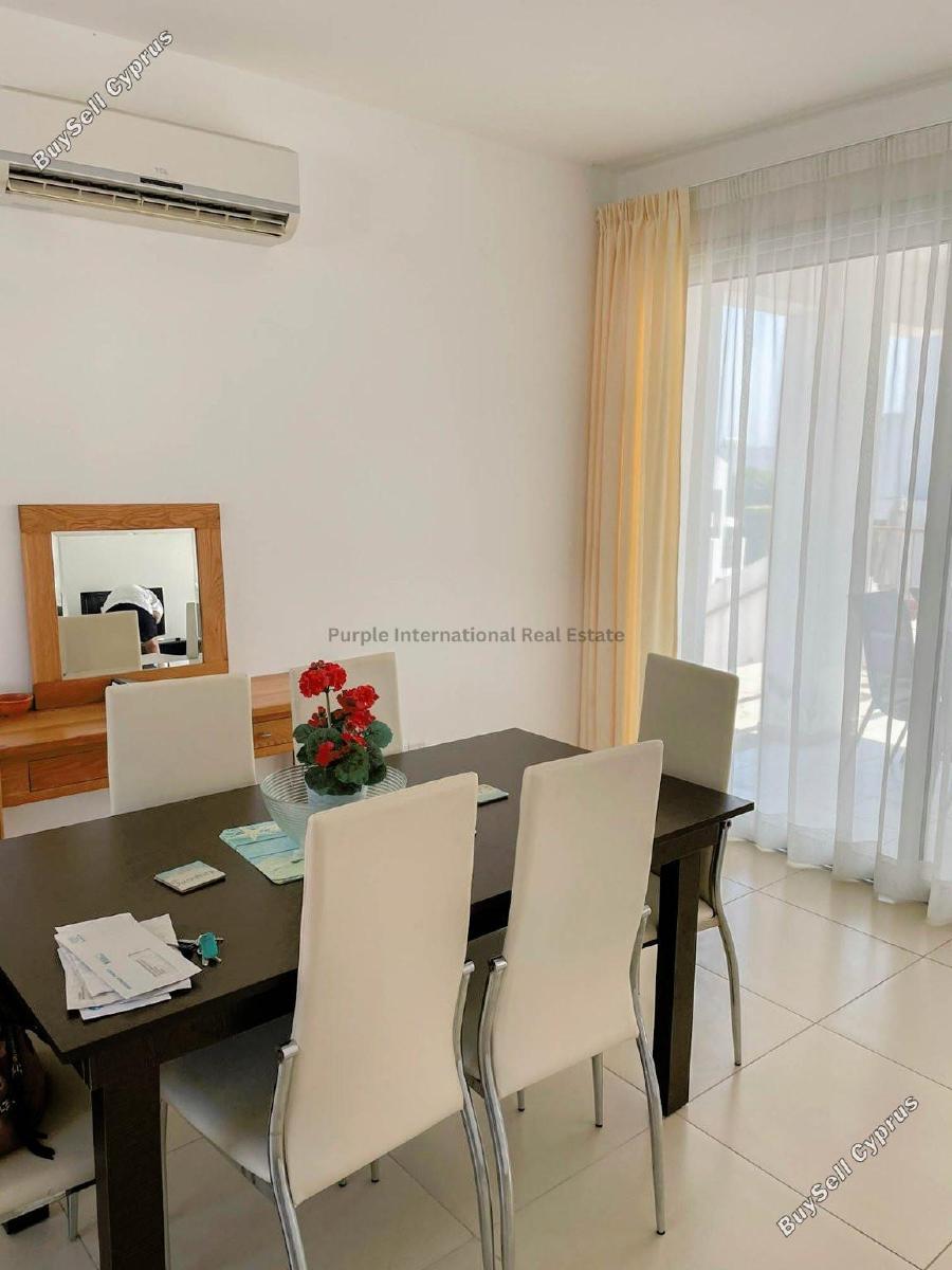 3 bedroom detached house for sale coral bay paphos 7543384 image 10287059