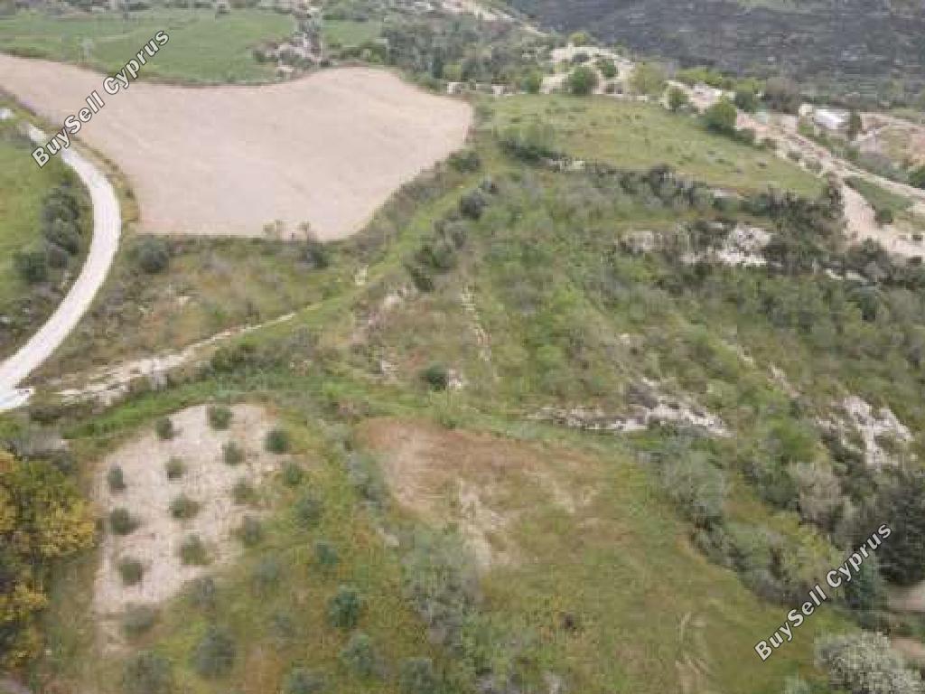 land for sale tsada paphos 8395384 image 15620421