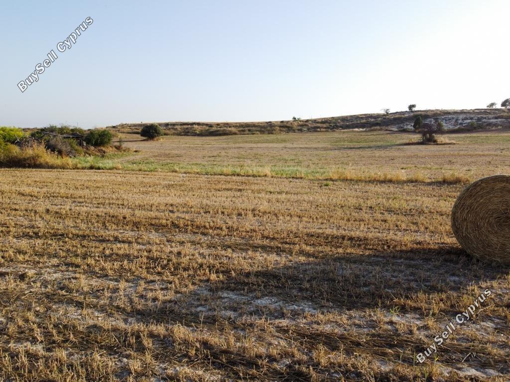 land off market tersefanou larnaca 1908384 image 14368510