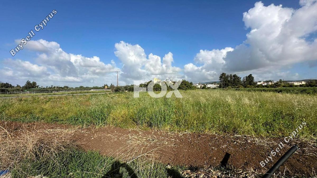 studio mixed use project for sale timi paphos 1316384 image 16673523