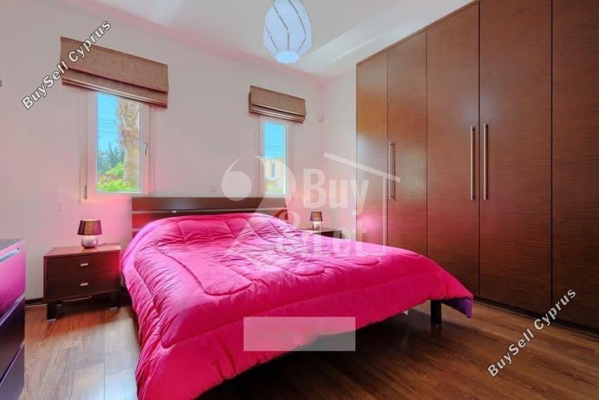 6 bedroom detached house for sale kato paphos universal paphos 1667584 image 12583789
