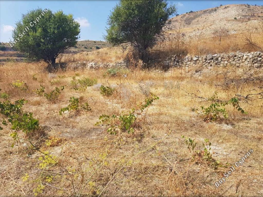 land for sale pachna limassol 826584 image 15600846