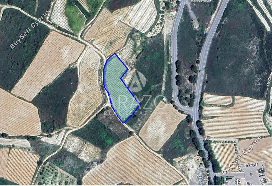 3679 SQM Land for sale in Omodos, Limassol 13421858
