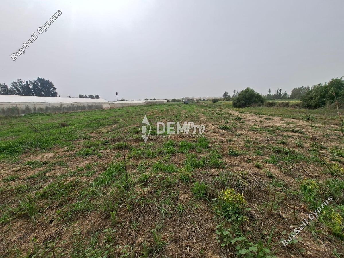 8360 SQM Land for sale in Mandria Pafou, Paphos 15084047