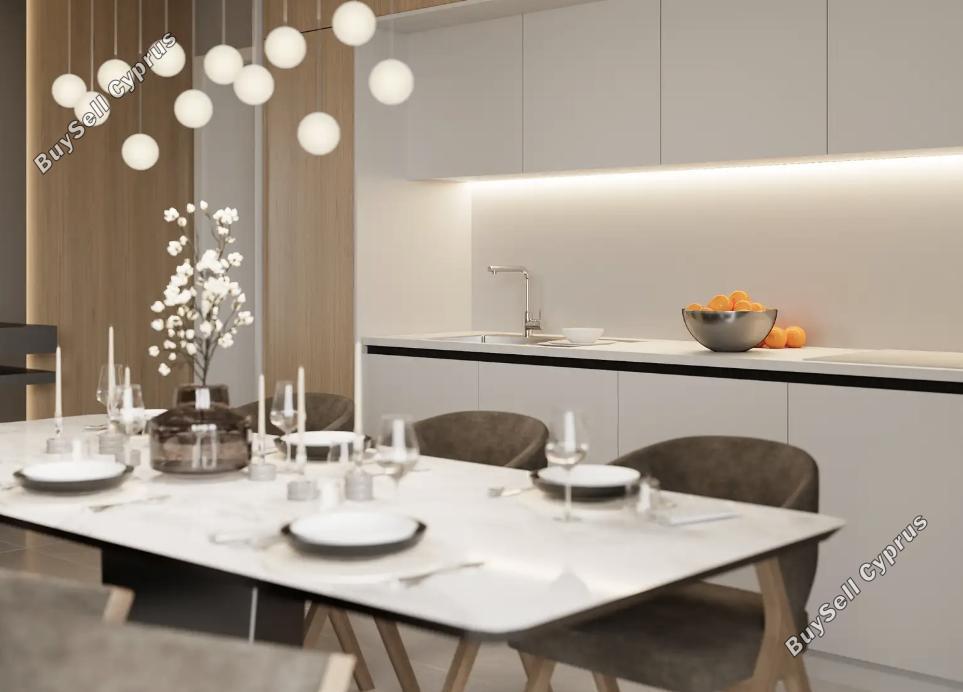 2 bedroom apartment for sale mesogi paphos 8720684 image 16322108