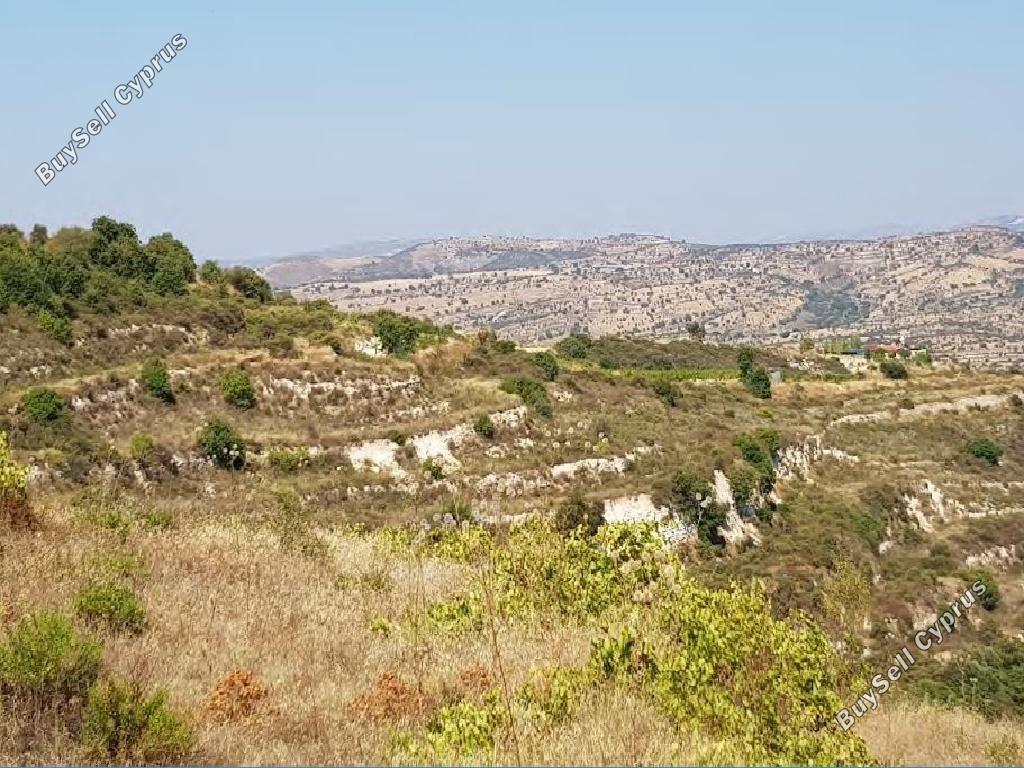 land for sale pachna limassol 8785684 image 16656302