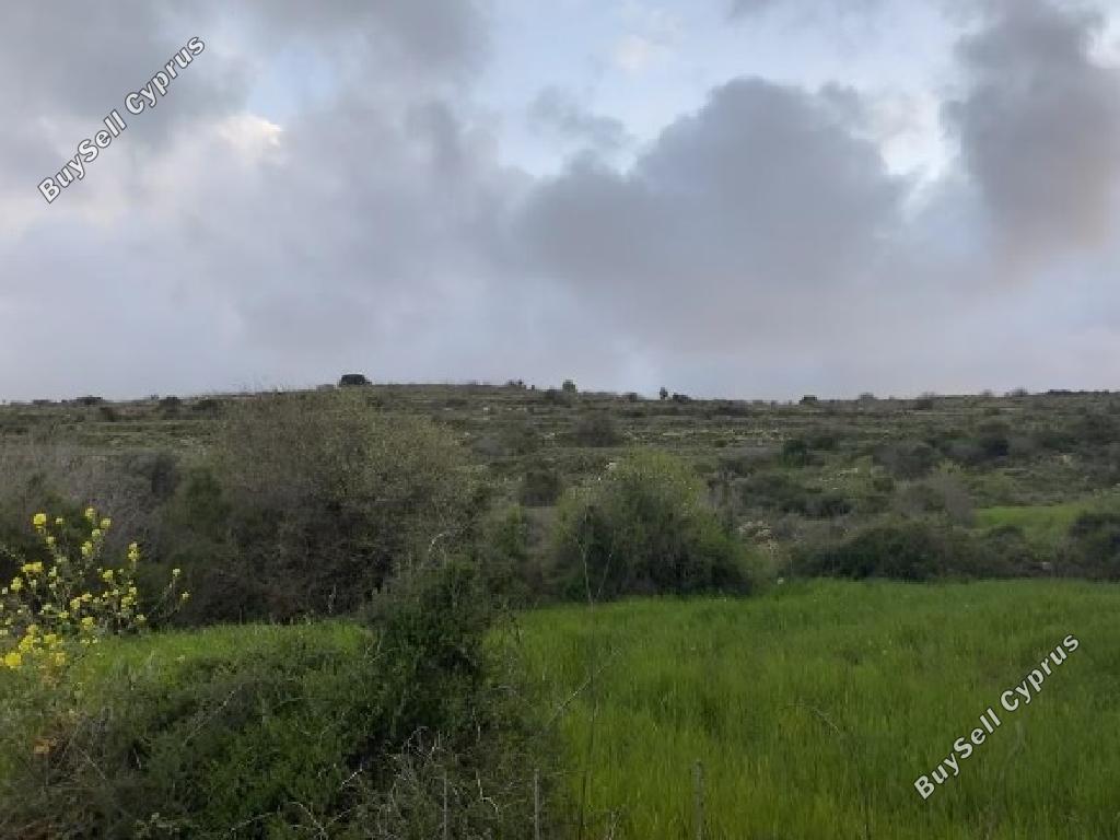 8016 SQM Land for sale in Kritou Tera, Paphos 15597954