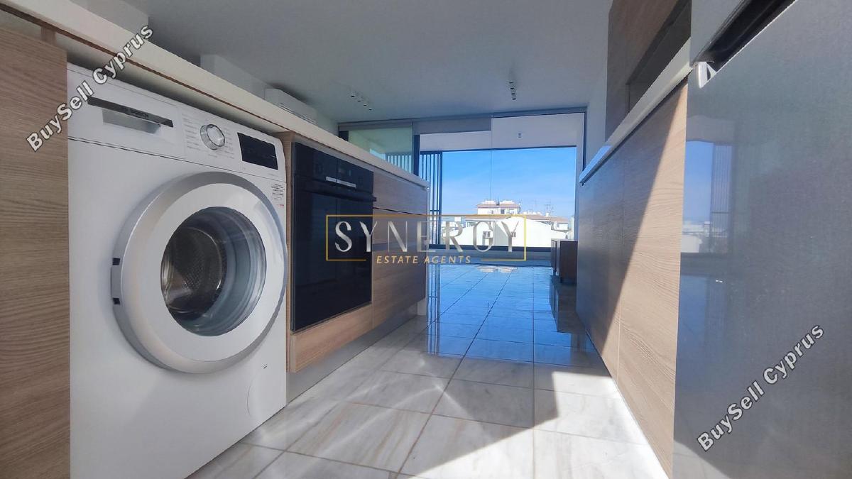 2 bedroom apartment for rent dasoupoli nicosia 7799884 image 16764520