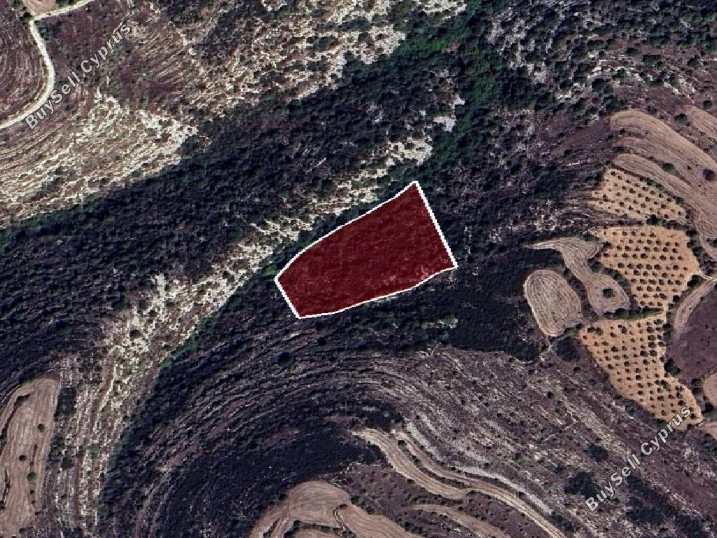 land for sale kritou tera paphos 1800884 image 15597953