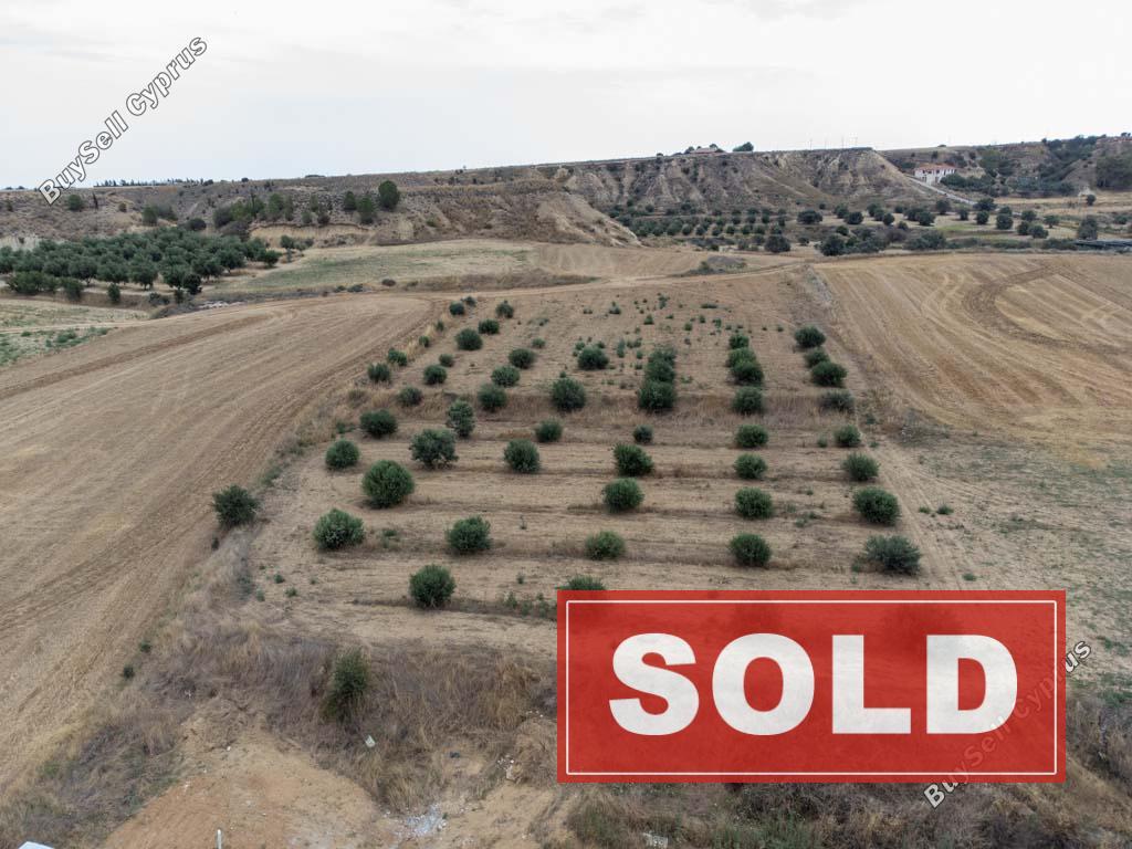 land sold pera orinis nicosia 1153884 image 5493969