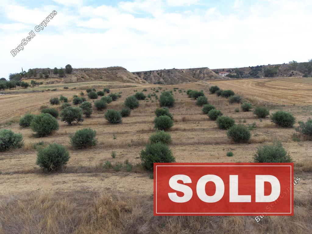 land sold pera orinis nicosia 1153884 image 5493973