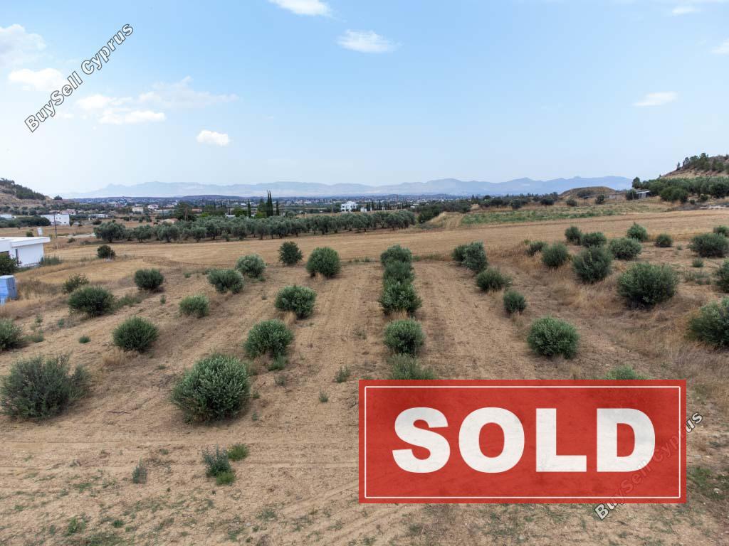 land sold pera orinis nicosia 1153884 image 5493978