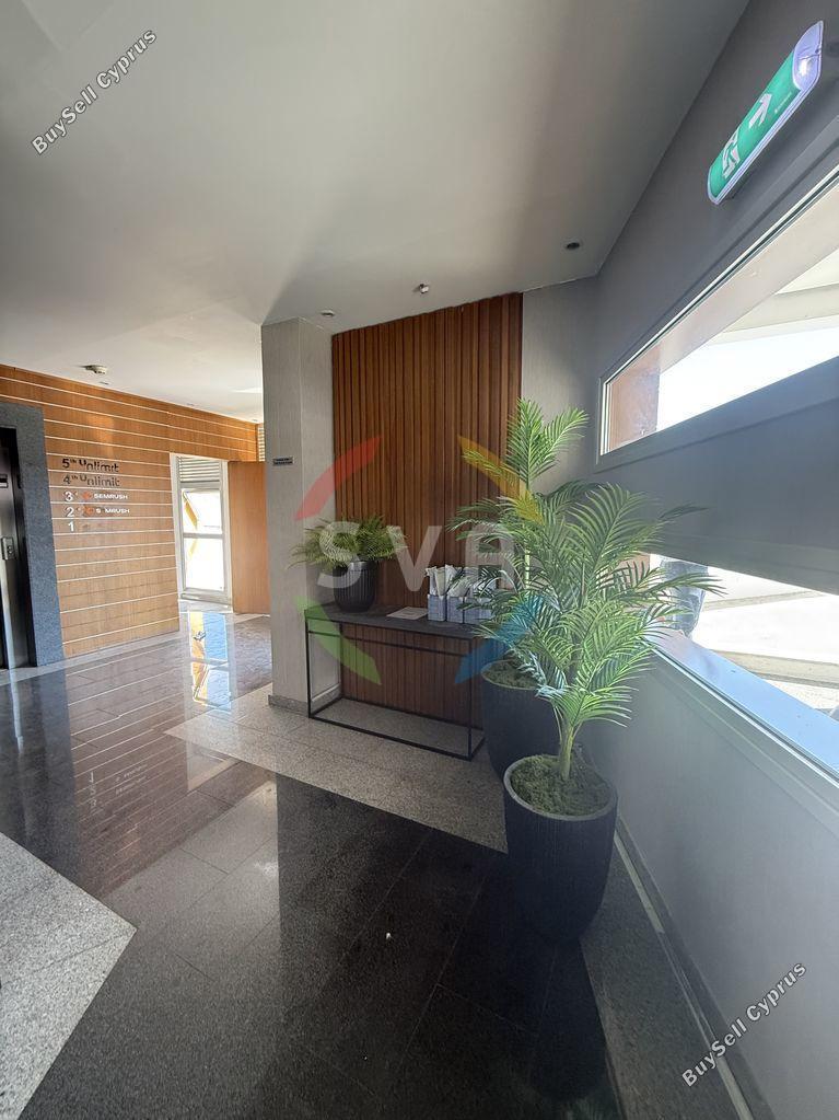 studio office for rent neapolis limassol 8524884 image 15420228