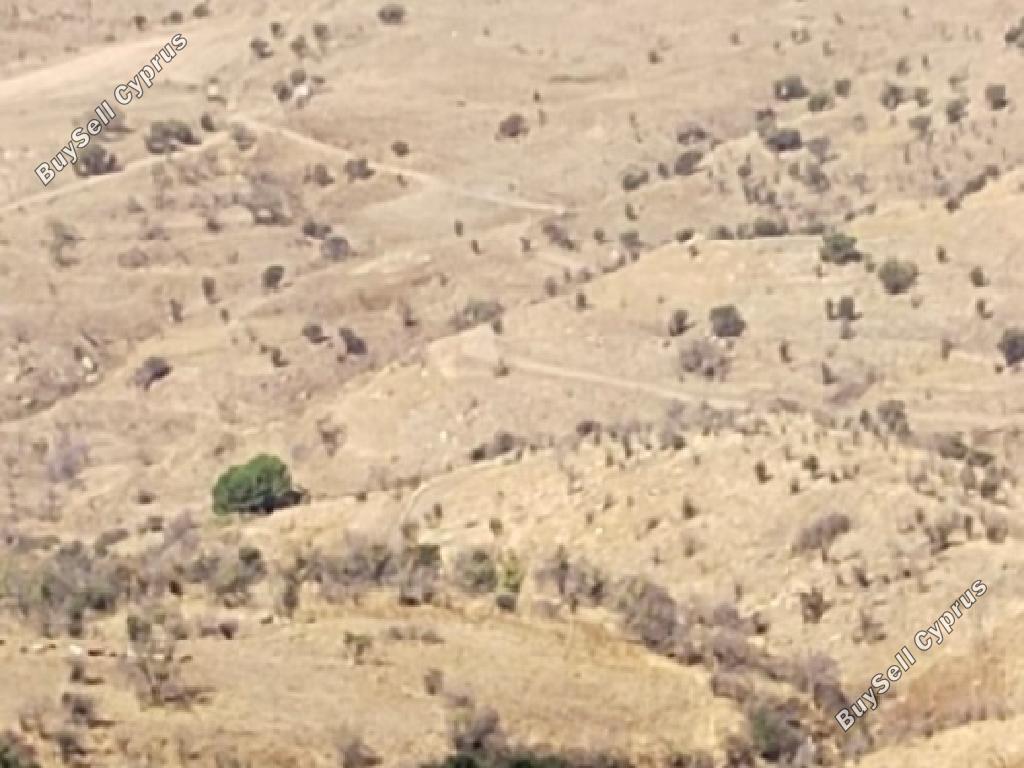 land for sale statos agios fotios paphos 1594984 image 15597990