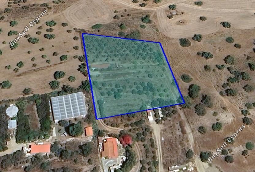 land off market monagroulli limassol 1780984 image 5844741