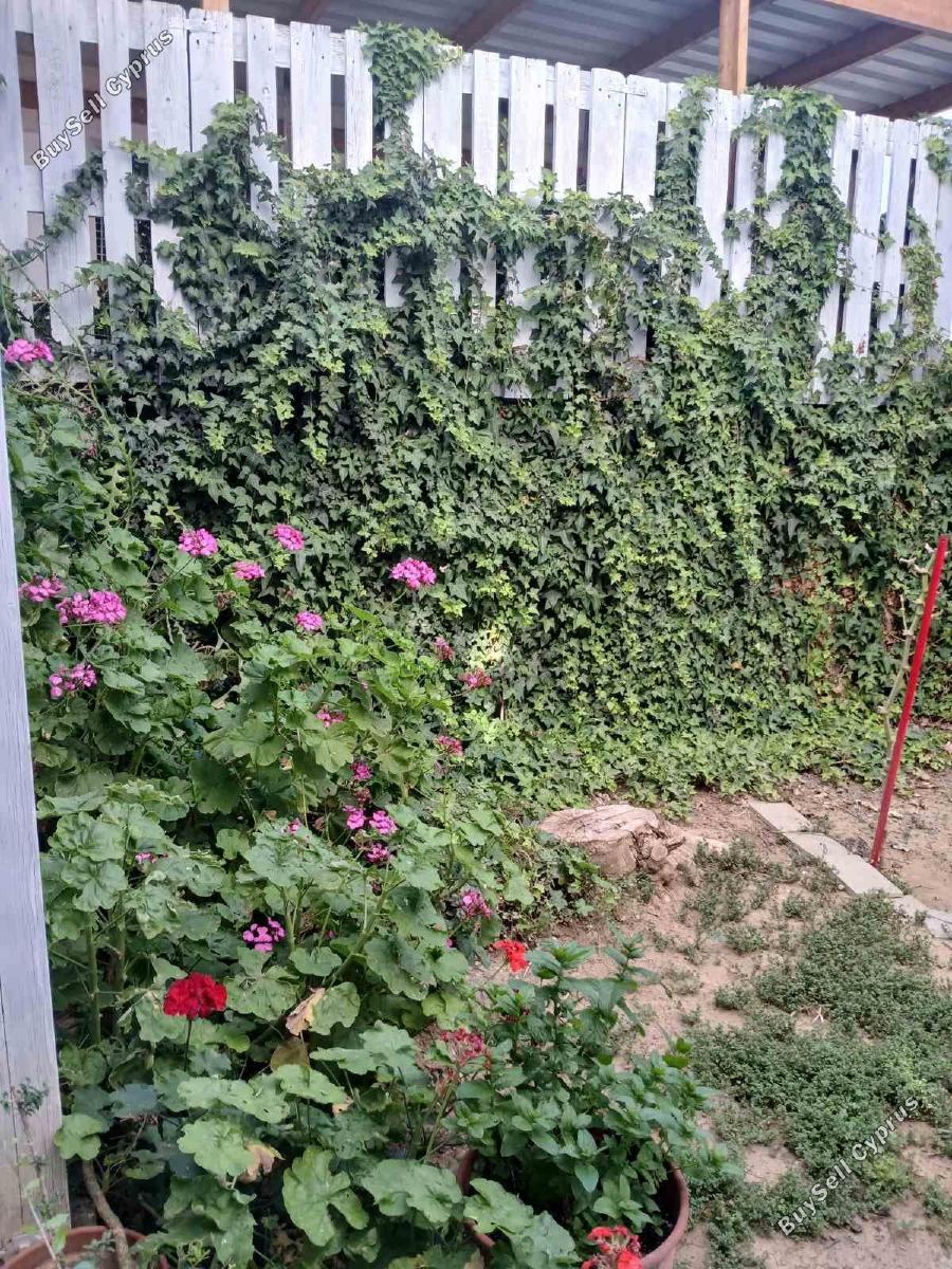 3 bedroom detached house for sale strovolos nicosia 8139094 image 13385363