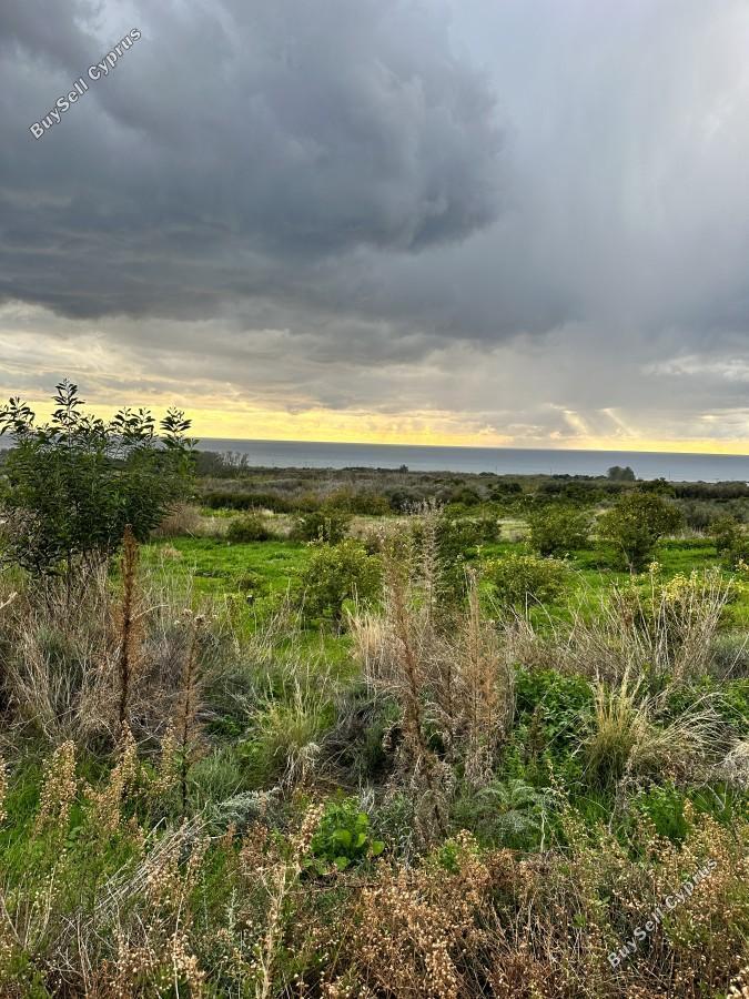 land for sale kissonerga paphos 8375094 image 14609131
