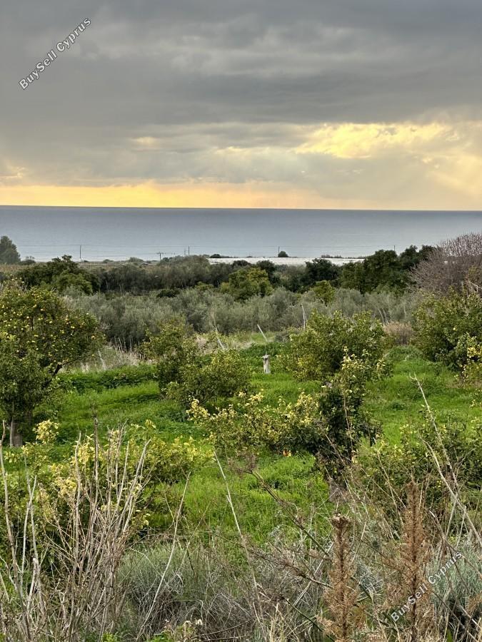 land for sale kissonerga paphos 8375094 image 14609132