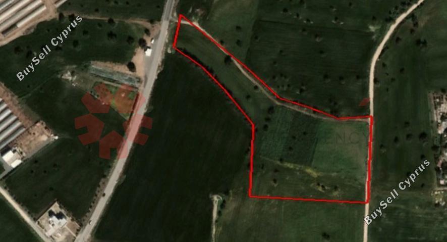 land for sale mazotos larnaca 1842094 image 6591503