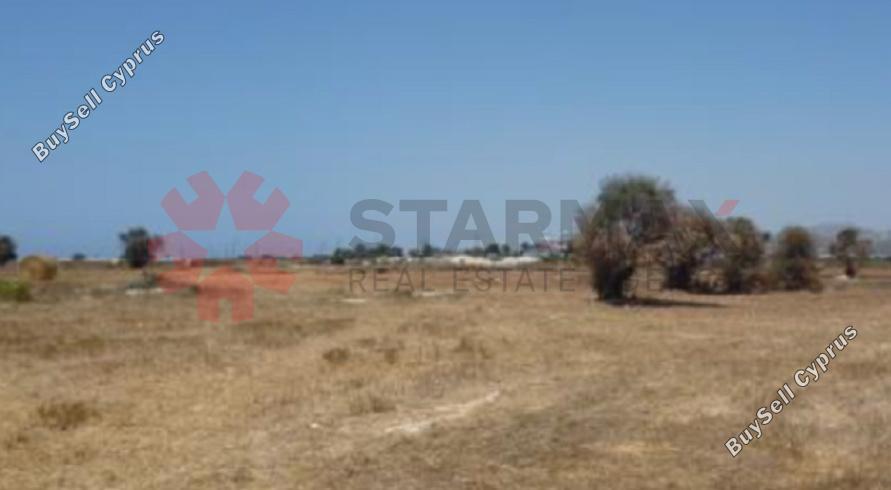 land for sale mazotos larnaca 1842094 image 6591507